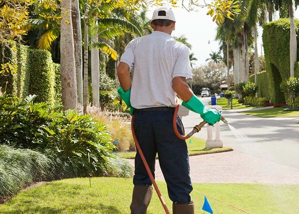 About Smilax KY Pest Control